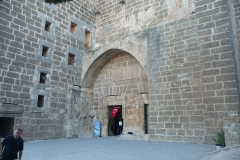 P1260059