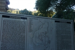 P1260060