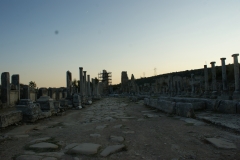 SONY DSC