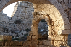 P1040336