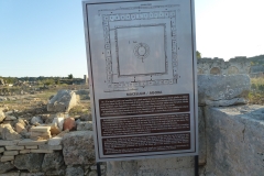 P1040341