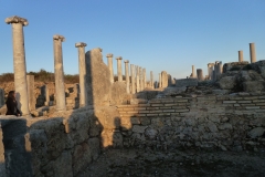 P1040351