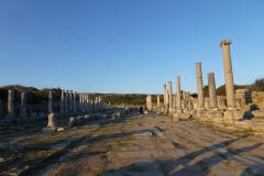 P1040352