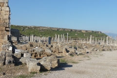 P1260230
