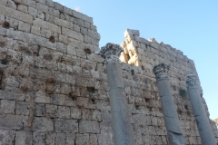 P1260249