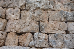 P1260259